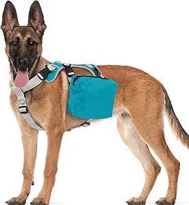 Medium Blue Tactical Dog Backpack Harness with Side Pockets for Hiking, Camping, Travel, Collie, Beagles