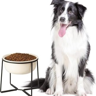 Приподнятые миски для собачьего корма - Керамическая миска с нескользящей подставкой - Широкая глубокая миска для воды - Миски