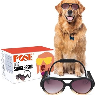 King Sunglasses for Dog - UV Protective Lenses, Debris Protection, Pannus Prevention, Invisible Chinstrap, Interchangeable Lenses, NYC Design - Sunrise, Medium