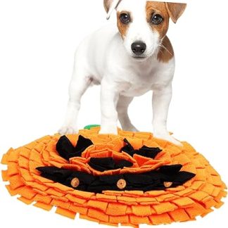 Оранжевая тыква — игрушка для собак, стимулирующая умственную деятельность, обоняние, замедляющая аппетит, практичная и компактная для питомцев.