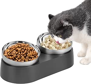 Миски для кошек, миска для кошек из нержавеющей стали, двойная миска для кошек, наклонная, нескользящая, для маленьких кошек и собак.
