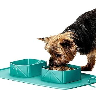 Дорожная миска — складная миска для воды, нескользящая и портативная миска для кошек, щенков, котят, для походов, кемпинга, прогулок, дома, парка.