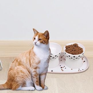 Приподнятая миска для кошачьего корма для маленьких собак, керамическая, наклонная, приподнятая кормушка для домашних животных.