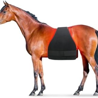 LED Red Light Therapy for Horse Muscle Recovery and Leg Pain - Complete Therapy Kit for Equine Recovery and Comfort