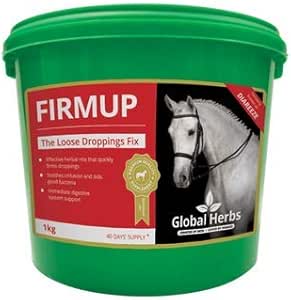 Global Herbs GASTROFIX EQUINE HORSE PONY (500G) REPLACES DIAREEZE