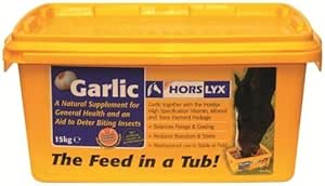 Horslyx - Garlic Horse Field Lick x 15 Kg