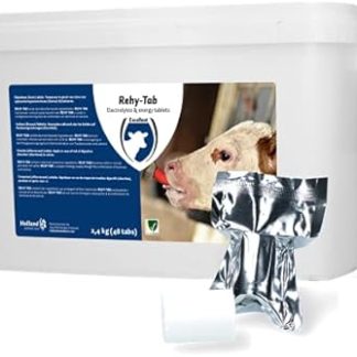 Excellent Health Care Supplies Rehish Tab Plus (Fizzy Tablet Diarrhea) 48 Tabs