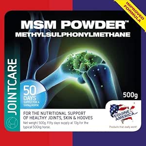 Equine America MSM Powder | Premium Ready To Use Horse & Pony Supplement | Support For Joints | 500g