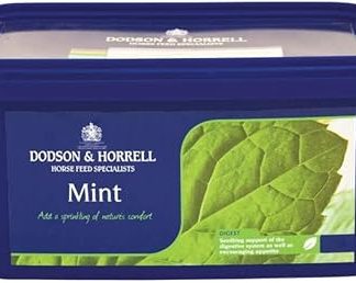 Dodson & Horrell Mint Tub for Horses, 1 kg