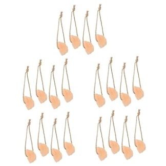 20pcs Healthy Horse Treat Deer Salt Lick Blocks for Cattle Sheep Mineral Salt Block Holder