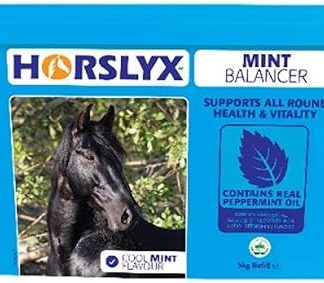 Horslyx Mint Balancer Horse Supplement Lick, 5 kg