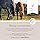 Annimally Joint supplements for horses 850g with devil’s claw, MSM (Sulfur), glucosamine, hyaluronic acid, chondroitin – Horse joint supplement to support joint function in horses - Horse supplements