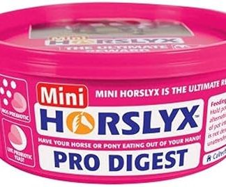 Horslyx Mini Pro Digest Horse Supplement Lick, 0.65 kg
