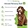Pet Wellbeing - Adrenal Harmony Gold For Dogs- Natural Support For Adrenal Dysfunction And Cushing'S - 2 Ounce ( 59 Milliliter)