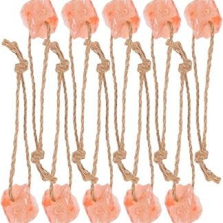 SMASOLO Pink Salt Lick Blocks for Horses, Cows, Deer and Livestock, 10pcs Hanging Salt Brick Set, Natural for Outdoor Feeding