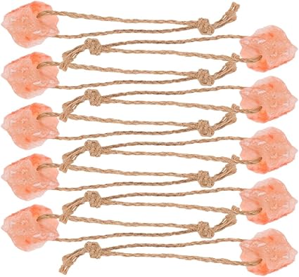 Homoyoyo 10pcs Natural Pink Salt Lick Blocks with Rope for Horses, Cattle, Deer and Small Pets, Chewable Salt Supplement for Livestock Health and Electrolyte Balance