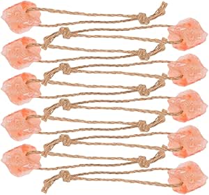 TOYANDONA 10pcs Natural Pink Salt Lick Blocks with Rope Salt Chew for Horses Cattle Deer Goats and Small Livestock Supplement for Animal Health