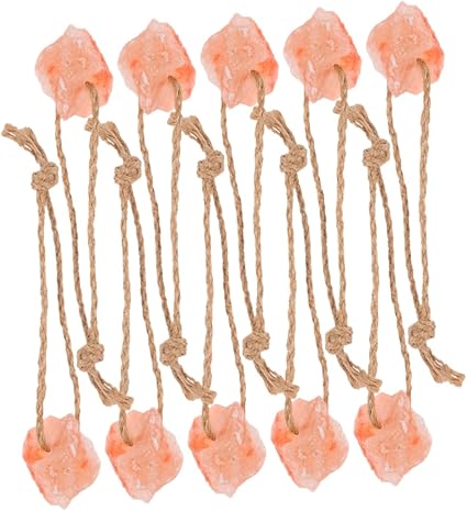 KOMBIUDA 10pcs Natural Mineral Salt Lick Blocks for Pets and Livestock Pre Drilled Easy Hang Chew Weatherproof Pink Salt for Horses Deer Cattle and Rabbits