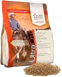 UltraCruz® Equine Electrolyte Plus, 5 lbs