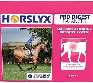 Horslyx Refill Horse Lick (5 kg) (Pro Digest)