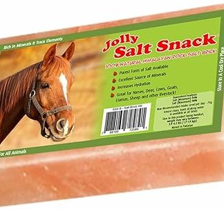 Horsemen's Pride 100% Himalayan Salt Brick, 4 Pounds