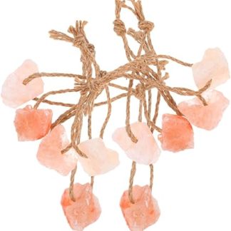 BESPORTBLE 10pcs Natural Mineral Salt Lick Blocks with Rope for Horses Goats Deer Rabbits Pets Outdoor Hanging Chew Enriching Health