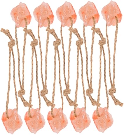 BESPORTBLE 10pcs Natural Hanging Salt Block Animal Lick Salt for Horse Deer Cattle Livestock Supplies Chew Toys Mineral Lick