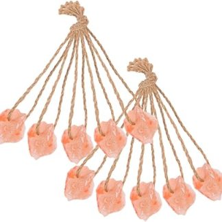 10pcs Pink Salt Lick Blocks with Rope for Horses, Cattle, Deer and Small Pets, Natural Mineral Salt Chew for Goats, Rabbits and Livestock Feeding
