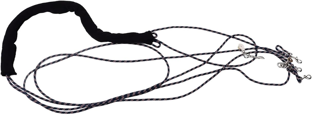 Horse Training and Lunging Aid Equipment with Accessories for Optimal Performance and Enhanced Comfort in Various Training Scenarios