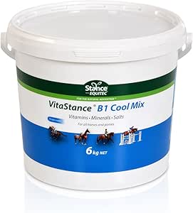 VitaStance B1 Cool Mix (6kg)