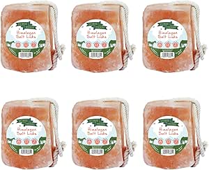 Himalayan Salt Lick 6 x 3.5kg | 100% Natural Equine Supplement, Digestion Support for Horses & Ponies, Ideal for Hydration & Electrolytes, Easy to Hang