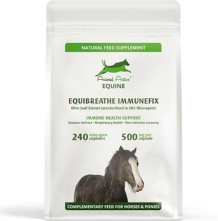 EquiBreathe Immunefix for Horses | 240 Easy-Open Capsules - 4 Months Supply | Immune Health & Respiratory Health Support, Post-Infection Recovery, Antioxidant for Horses | Made in the UK