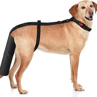 EBaokuup Dog Tail Guard,Adjustable Dog Ends Protector,Used to Assist in Recovery from Injury for Medium and Large Dogs,Happy Tail Syndrome,Pet and Animals