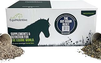 The Gut Brain Reset - 100% Natural Gut Balancer & Calming Supplement for Horses & Ponies (3kg - Contains 1kg No More Nerves Horse Calmer, 2kg B-Complete Horse Digestive Supplement)