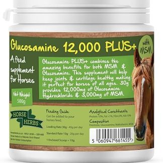 Glucosamine 12,000 PLUS+ 500g Tub | Ready To Use Horse & Pony Supplement, Support For Equine Joints & Mobility