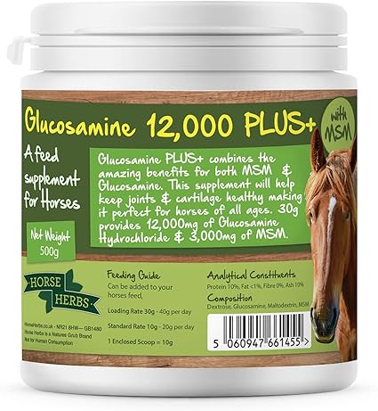 Glucosamine 12,000 PLUS+ 500g Tub | Ready To Use Horse & Pony Supplement, Support For Equine Joints & Mobility