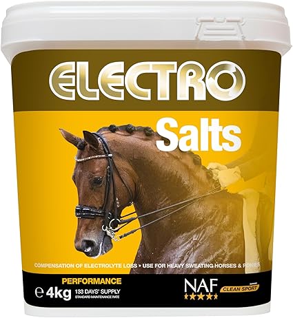 NAF Electro Salts 1kg – Fast-Acting Electrolyte Supplement for Horses – Replenishes Salts Lost Through Sweat – Supports Hydration, Recovery & Performance