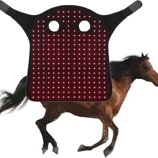 Portable Wearable Therapy Device for Horse Head Injuries, Fracture Healing and Pain Relief