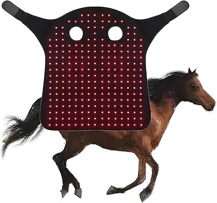 Portable Wearable Therapy Device for Horse Head Injuries, Fracture Healing and Pain Relief