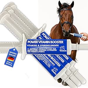 Vitamin paste for horses I energy booster, vitamins B, vitamin B complex, horse B12, lysine zinc, horse, minerals, strengthen the immune system, vitamin E, trace elements, high doses,