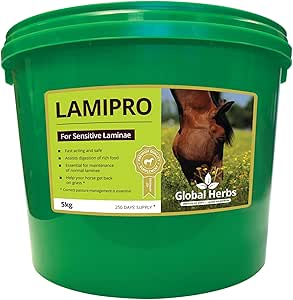 Global Herbs Lamipro Powder