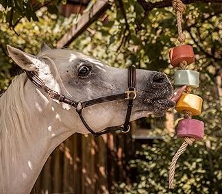 Horse Treats – IMIMA Lolly-Lick TRICOLORE 3-Pack with Lavender, Vanilla+Banana, Apple – Fun Natural Horse Treats for Box, Paddock, Stall – Includes FREE Hanging Rope