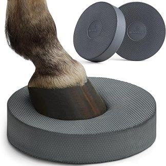 Balance Pad Horse Set of 2, Accessories for Floor Work with Horses, 2 x Horse Balance Pads for Variable Training and Activity for Horses of All Types