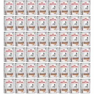 ROYAL CANIN Ветеринарный диетический корм для собак с низким содержанием жира для желудочно-кишечного тракта - влажный корм для собак - 48 x 420 г