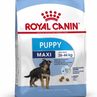 ROYAL CANIN SHN Maxi Puppy - сухой корм для щенков - 4 кг