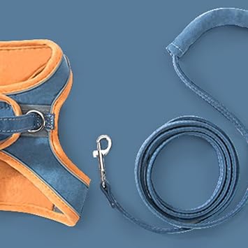 Generic Laisse de Harnais pour Chat à Bande Réfléchissante, Durable et Robuste pour Chat, Légère pour Animal de Compagnie, Polaire en Peau de Cerf (Orange et bleu S, Convient pour 0–2 кг/0–4,4 фунта)