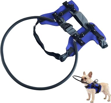 Harnais pour chien aveugle et чат Malvoyant, колье с отражающими полосами – Anneau против столкновений для домашних животных | pour la Marche, les voyages, l'entrainement, la randonnée Interior