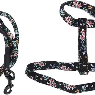 HEEPDD Harnais pour Chat avec Laisse, Harnais de Marche Souple Réglable pour Chatons et Petits Animaux, Parfait pour les Aventures en Plein Air (S)