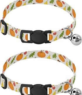 Лот из 2 колье для шатона с клошетом Orange Pumpkins Longueur, регулируемая длина от 26,9 см до 43,4 см.