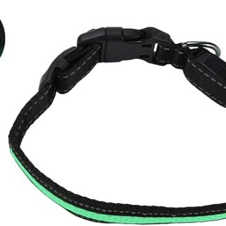 Ожерелье LED pour chien et talk, перезаряжаемое с USB и отражателем - Taille S - Vert